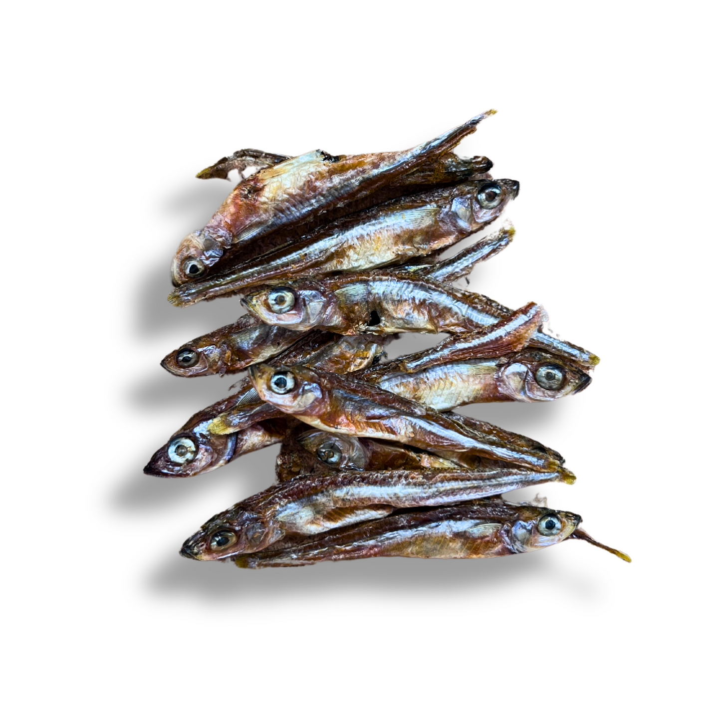 Fishy Snack - Latterini Essiccati