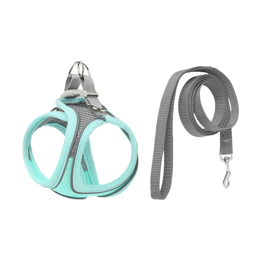 Pettorina traspirante per cani Pets, con cinturini posteriori per prevenire le eruzioni cutanee, esclusiva per uso esterno, regolabile, con riflessi notturni