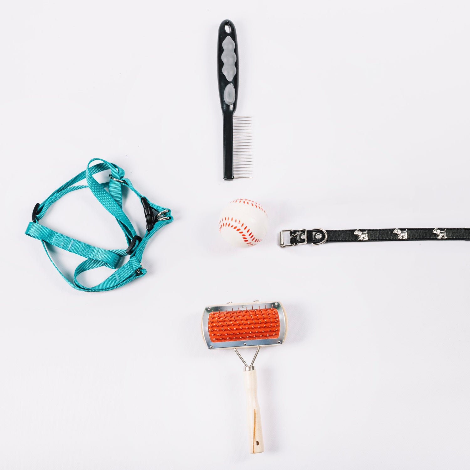 Accessori Cani e Gatti