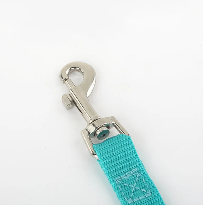 Pettorina traspirante per cani Pets, con cinturini posteriori per prevenire le eruzioni cutanee, esclusiva per uso esterno, regolabile, con riflessi notturni