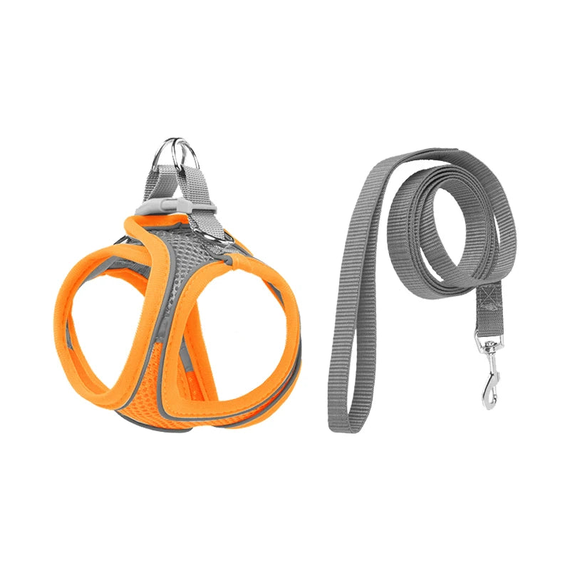 Pettorina traspirante per cani Pets, con cinturini posteriori per prevenire le eruzioni cutanee, esclusiva per uso esterno, regolabile, con riflessi notturni