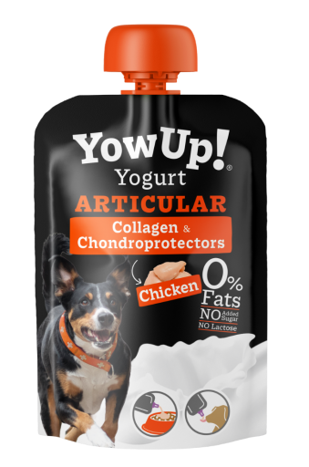 YowUp Yogurt Cane Articular 10x115 gr